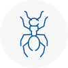 Ant Removals In Widnes