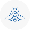 Bee Nest Removal Widnes