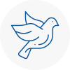 Bird Prevention Widnes