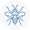 Widnes Hornet Nest Removals