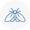 Moth Control Specialists In Widnes