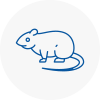 Rat Control Widnes