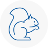 Widnes Rodent Removals