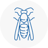 Widnes Wasp Nest Removal